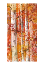 Autumn Birch (Guest Towel)