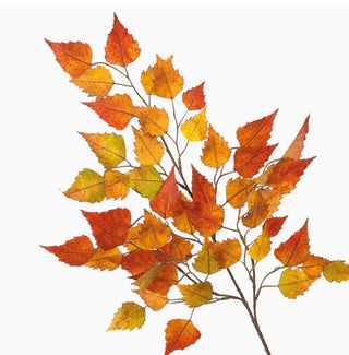Fall Birch Spray