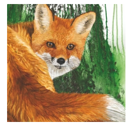 Evergreen Fox (Beverage Napkin)