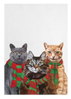 Cat Scarves Trio Dish Towel