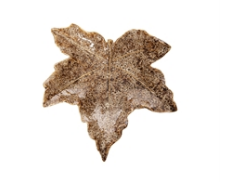 Brown Maple Leaf Plate