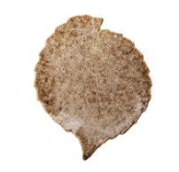 Large Brown Leaf Plate