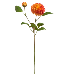 Orange Dahlia Spray 24"