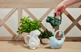 Animal Watering Can