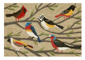 Birds Multi Colored Indoor/Outdoor Rug