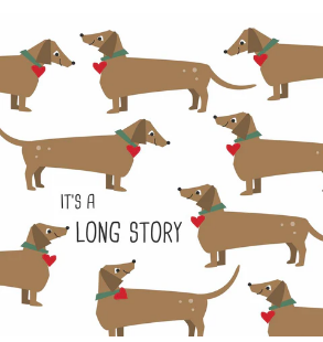 Long Story (Beverage Napkin)
