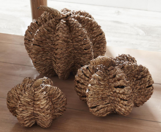 Brown Papyrus Reed Pumpkins