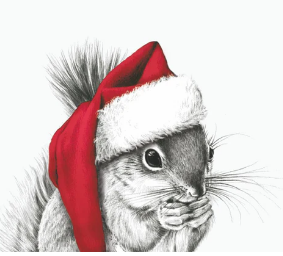 Ralf Red Hat Squirrel Beverage Napkin