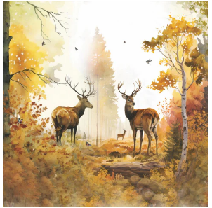 Autumn Forest (Beverage Napkin)