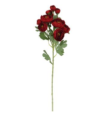 Ranunculus Spray 21.5"