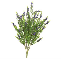 Cypress Bush w/ Purple Blooms 18"