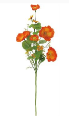 Poppy Spray Orange (28")
