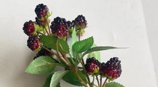 Boysenberry Spray (Wine 15")