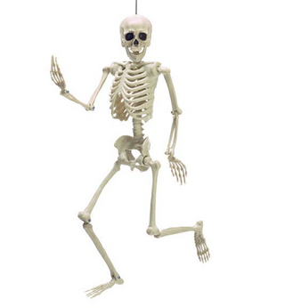 Posable Skeleton Decor