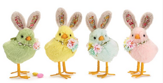 Chick with Bunny Ears