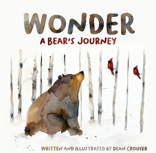 Wonder A Bear's Journey Hardcover Book
