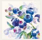 Blueberry Fruits (Beverage Napkin)