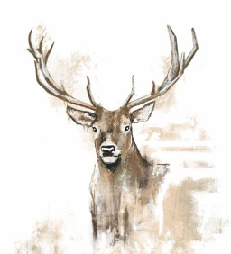 Antlers (Beverage Napkin)