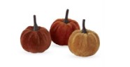 Craft Bag Of 24 Mini Pumpkins