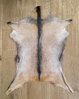 Goat Hide