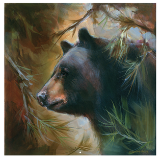 Bear Portrait Gallery Wrap