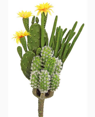 Blooming Cactus (Yellow/Orange)