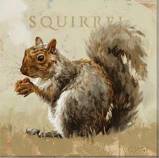 Darren Gygi " Squirrel" Giclee