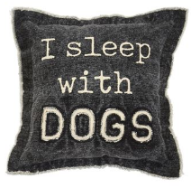 Sleep Washed Canvas Dog Pillow
