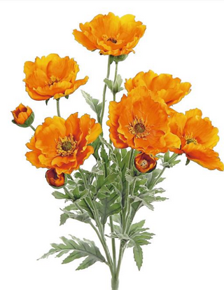 Poppy Bush (Orange)