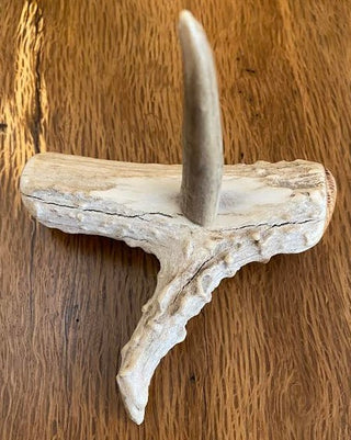 Antler Ring Holder