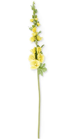 Hollyhock Stem 43"