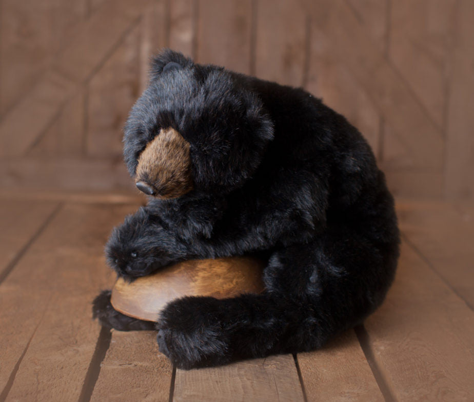Ditz Black Bear