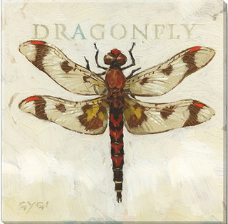 Darren Gygi "Brown Dragonfly" Giclee