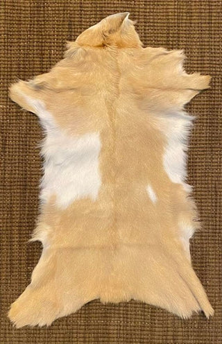 Small Goat Hide